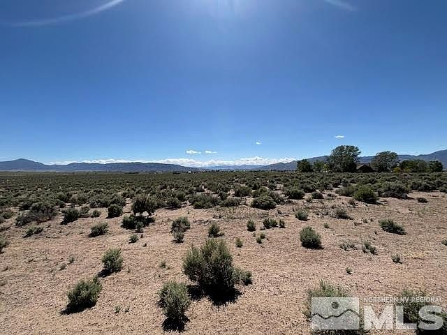 365 Ludwig Ln Smith Valley, NV 89430 - Thumbnail 4