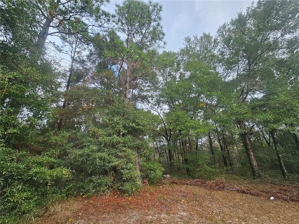 0 State Highway 98 Wilmer, AL 36587 - Thumbnail 4