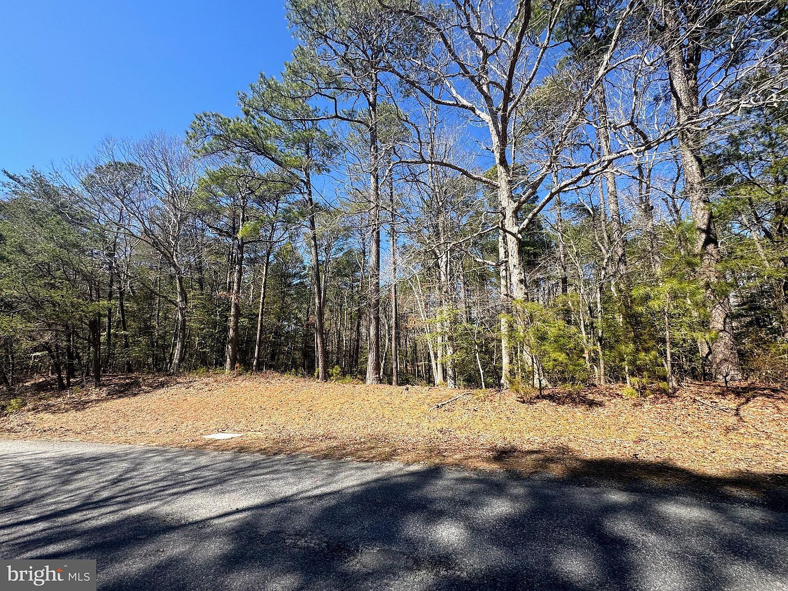 0 Mutiny Dr Greenbackville, VA 23356 - Thumbnail 4