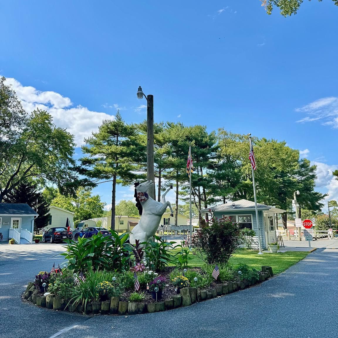 289 Woodhaven Ct Berlin, MD 21811 - Thumbnail 4