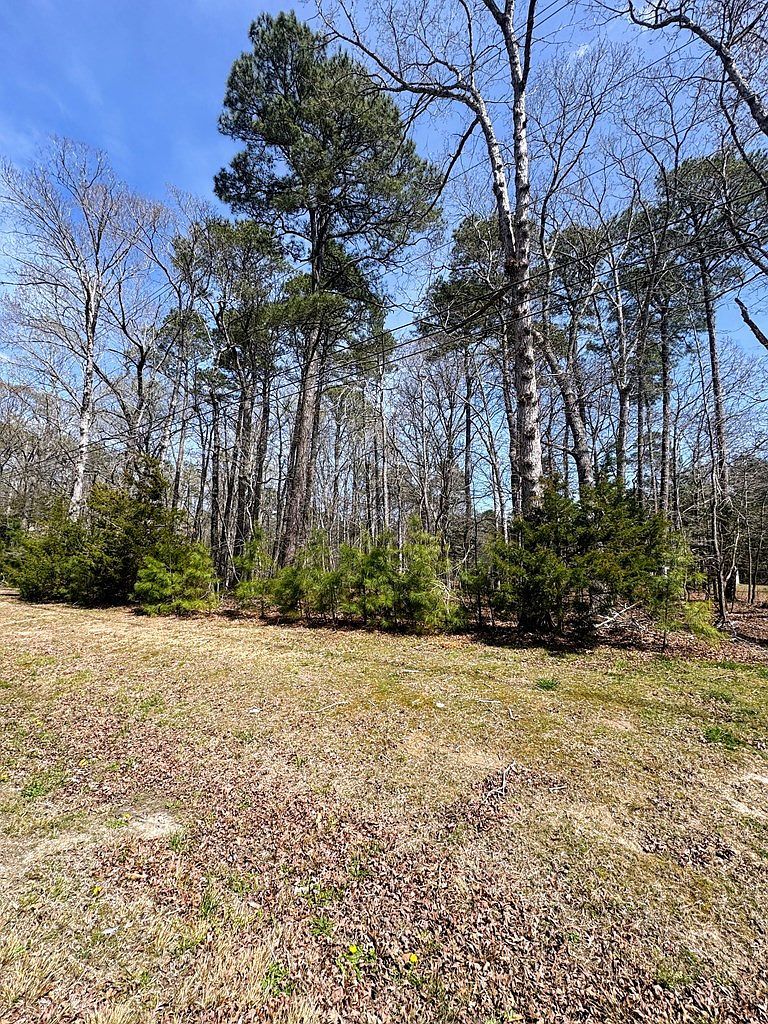 2553 Captains Corridor Greenbackville, VA 23356 - Thumbnail 4