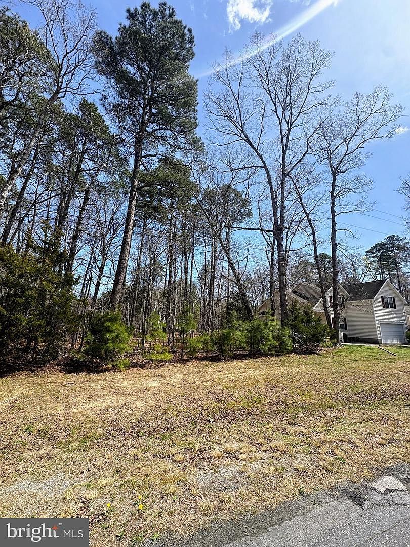 2553 Captains Cv Greenbackville, VA 23356 - Thumbnail 4