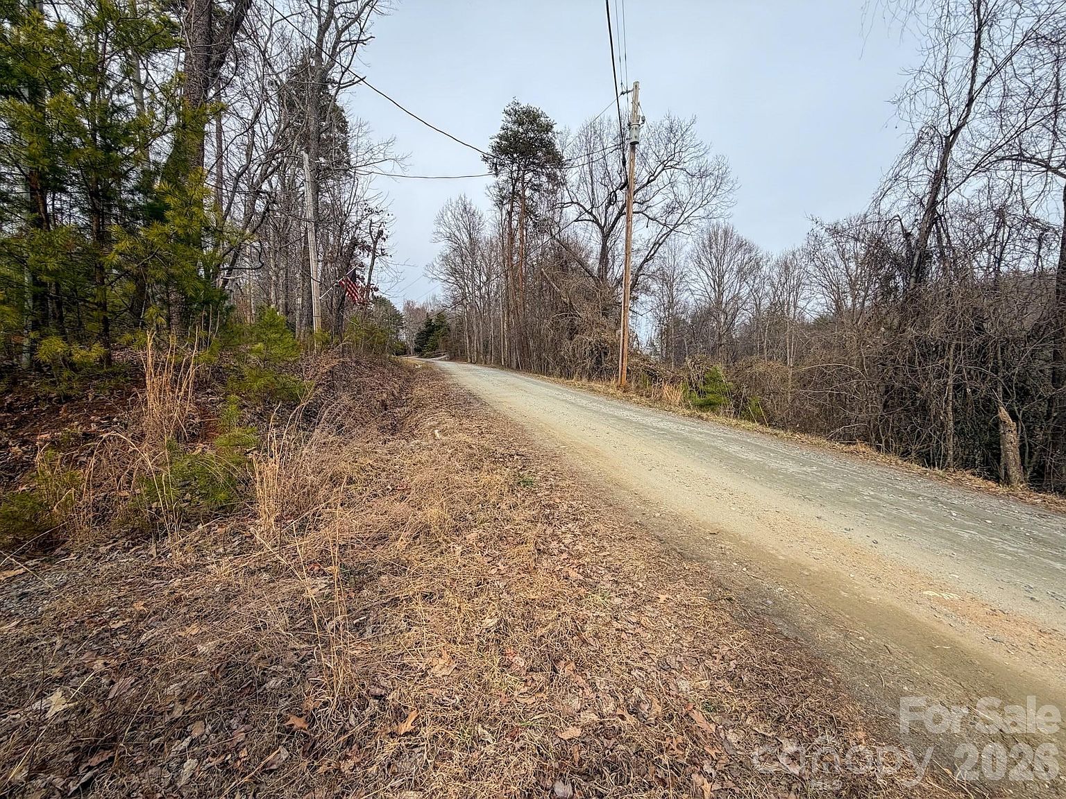 161 Starling Rd Lake Lure, NC 28746 - Thumbnail 4