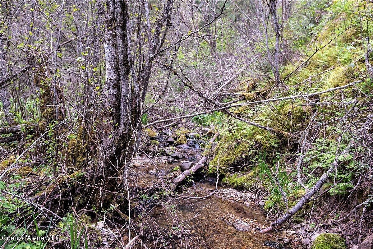 Nna N Corbin Hill Rd Athol, ID 83801 - Thumbnail 4