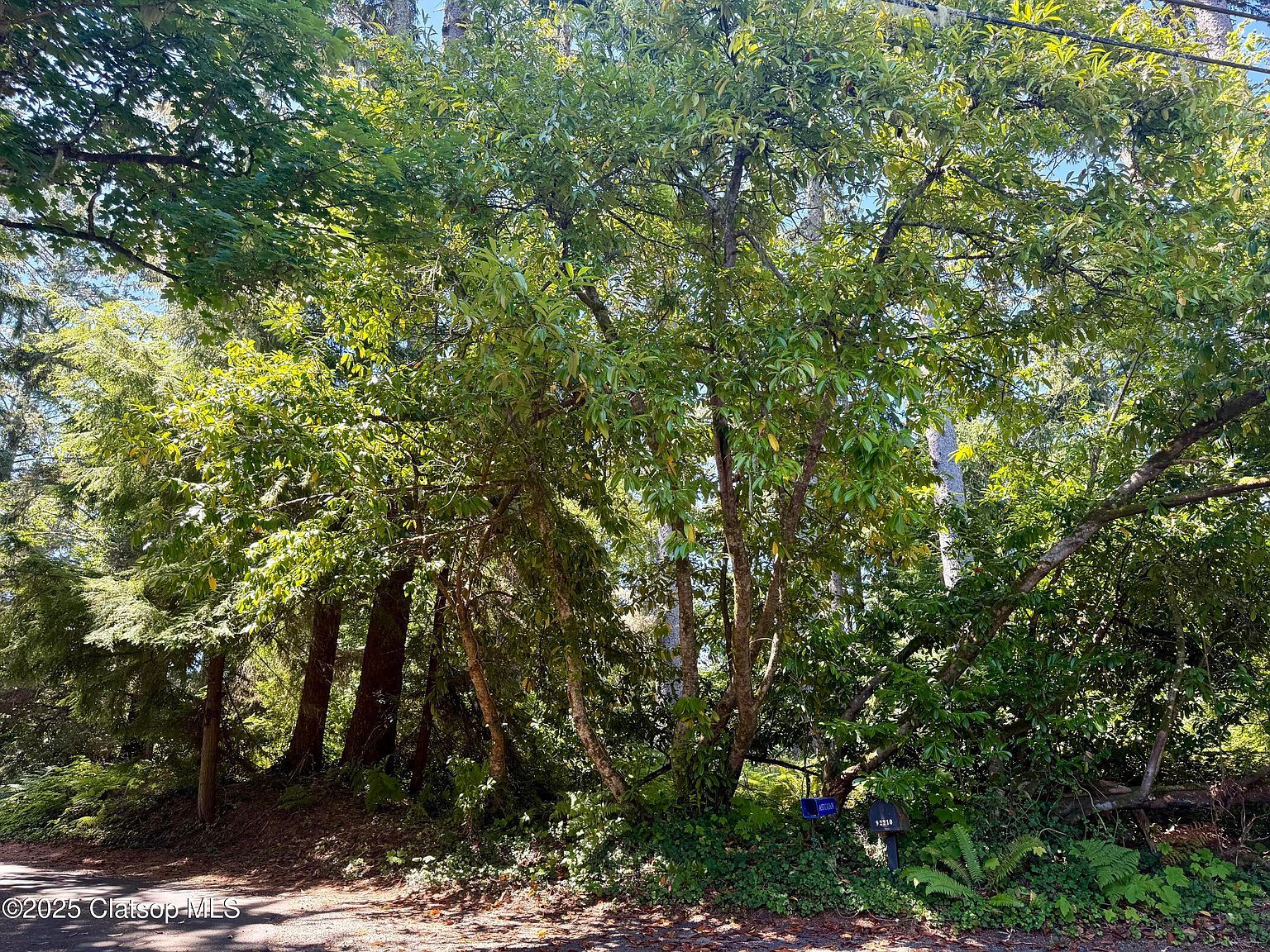 Whiskey Rd Warrenton, OR 97146 - Thumbnail 4