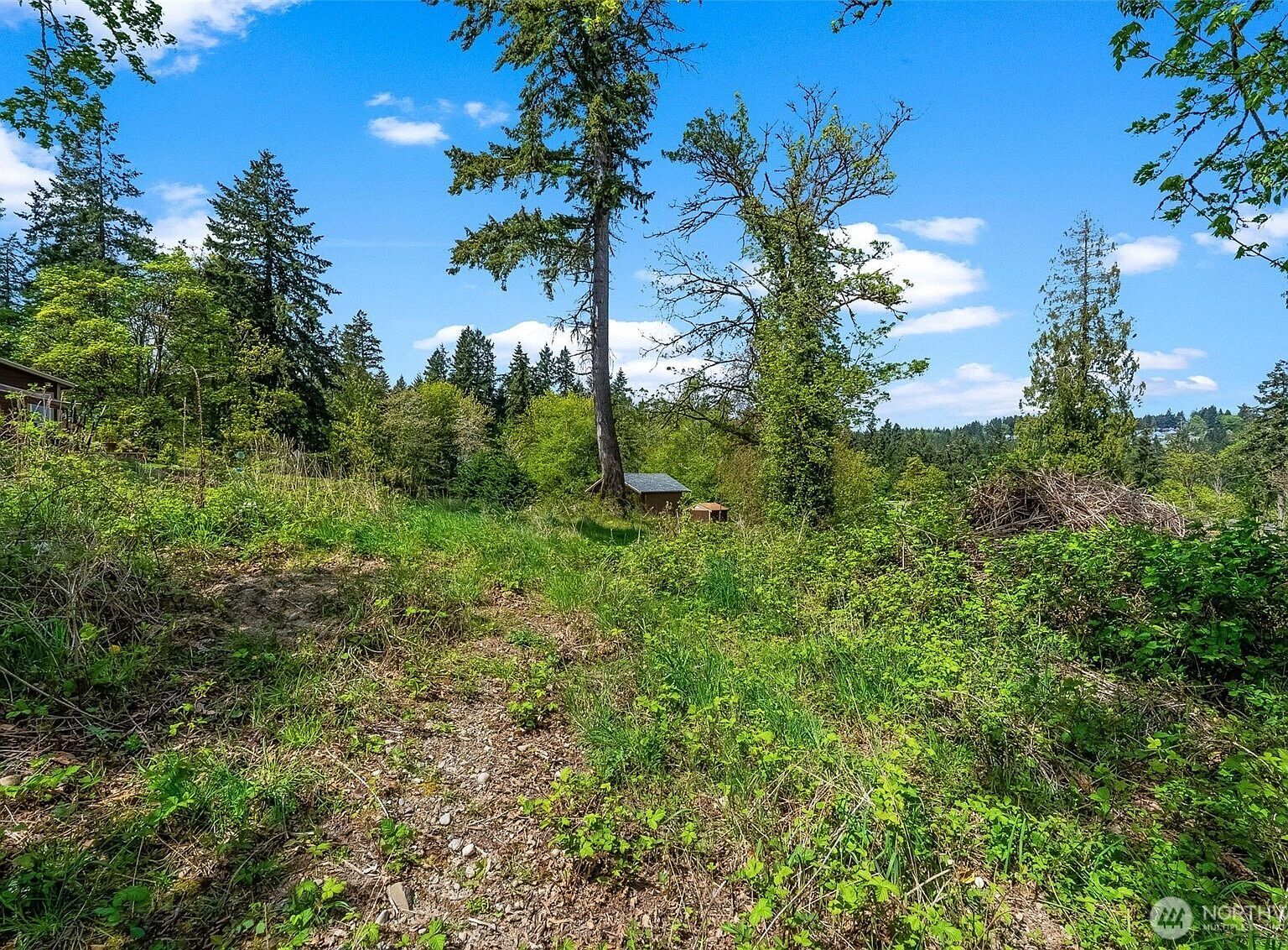 14308 Olalla Crest Ln SE Olalla, WA 98359 - Thumbnail 4