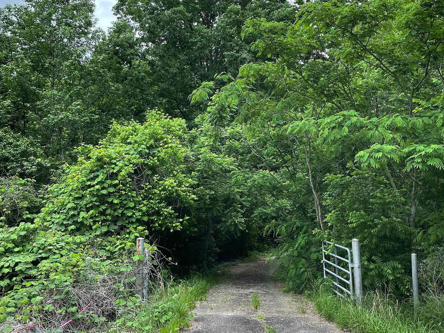 3405 Turncliff Pkwy #3405 Birmingham, AL 35235 - Thumbnail 4