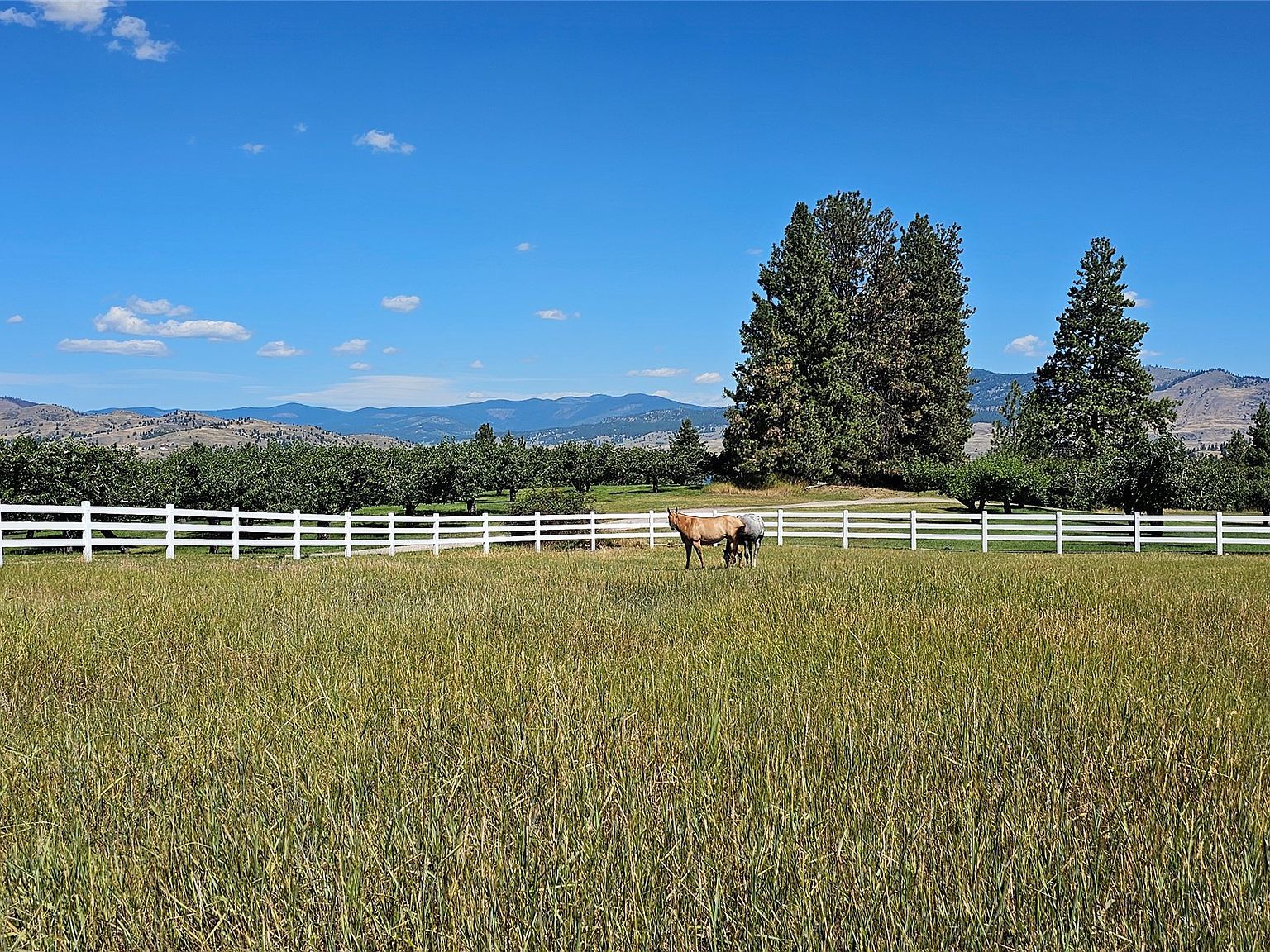 39784 Us Highway 93 Big Arm, MT 59910 - Thumbnail 4