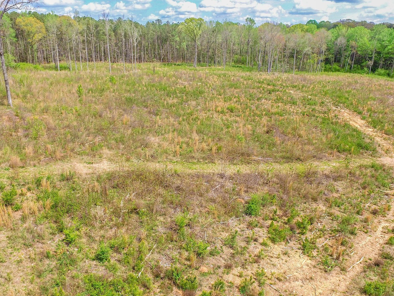 2185 Highway 85 Senoia, GA 30276 - Thumbnail 4