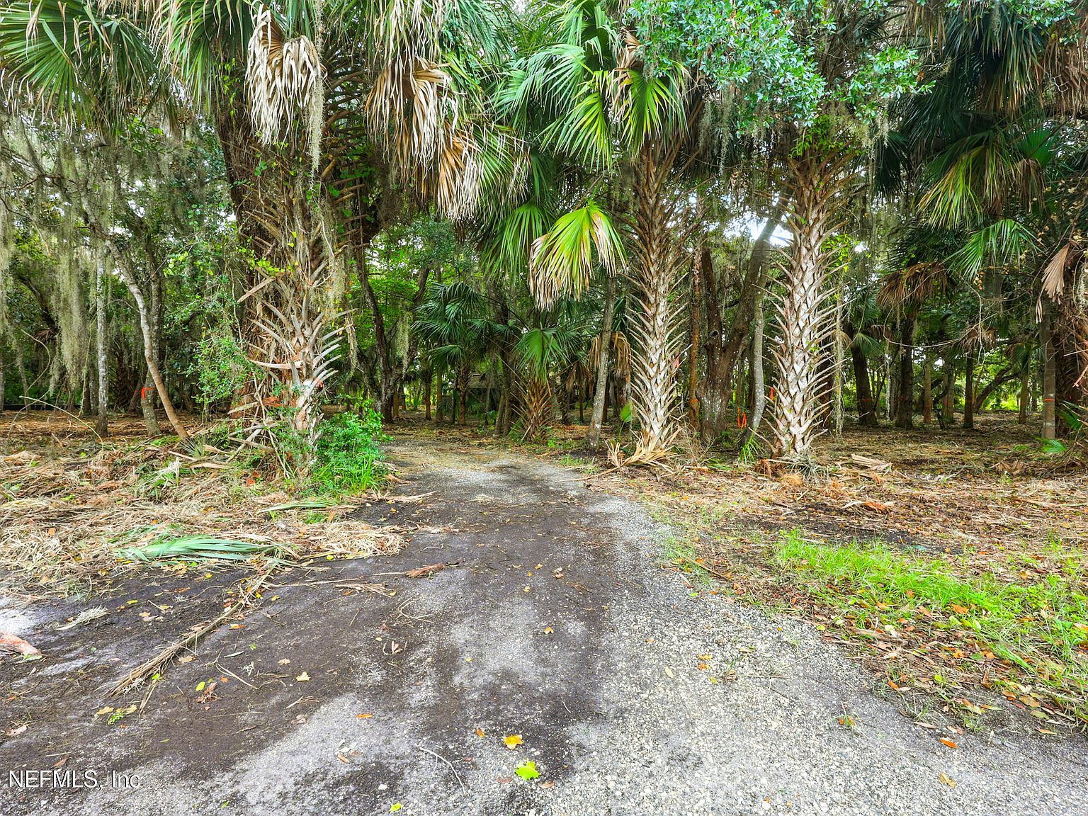 1162B Neck Rd Ponte Vedra Beach, FL 32082 - Thumbnail 4