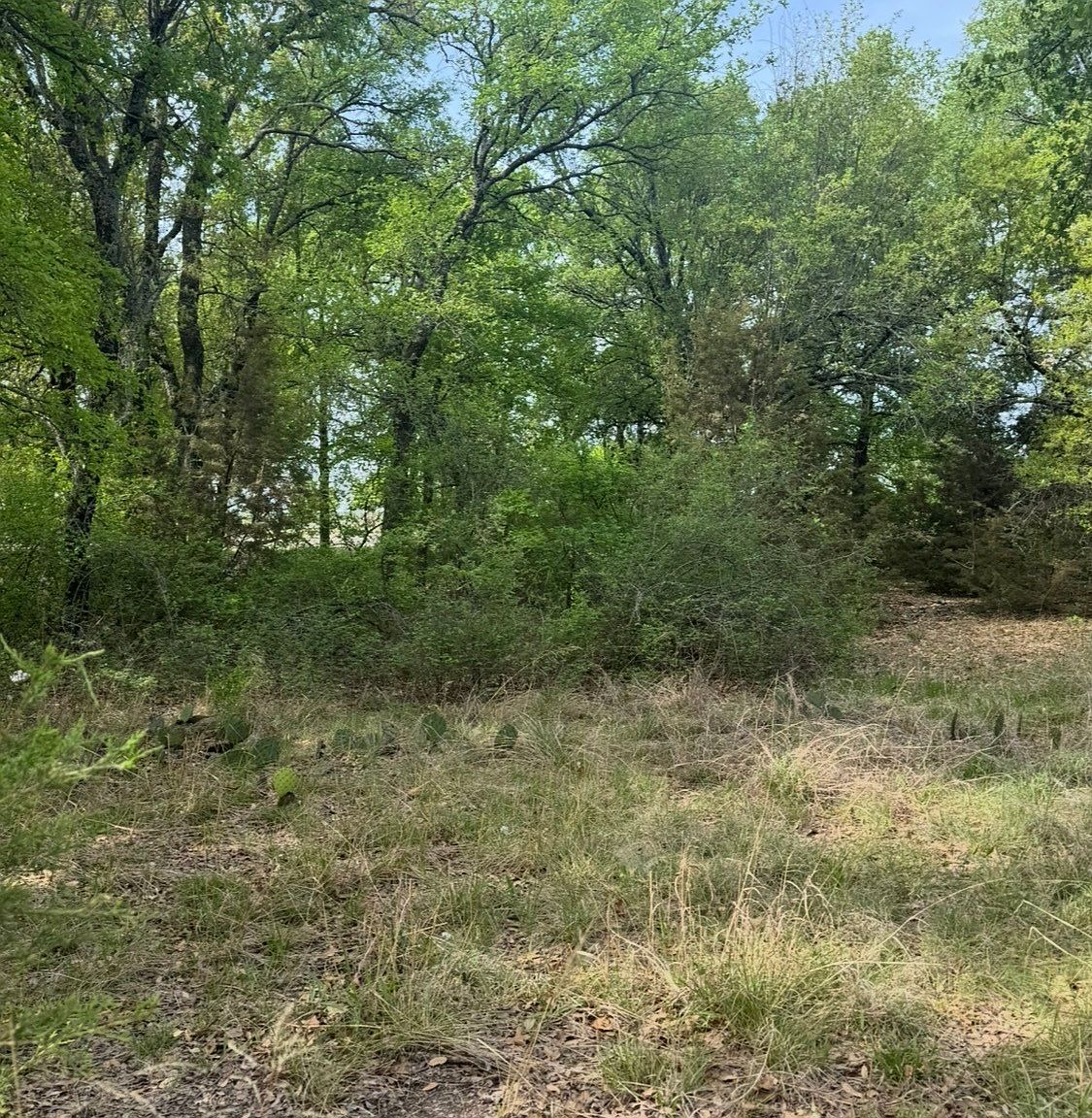 1016 Spring Ranch Dr Weatherford, TX 76088 - Thumbnail 4