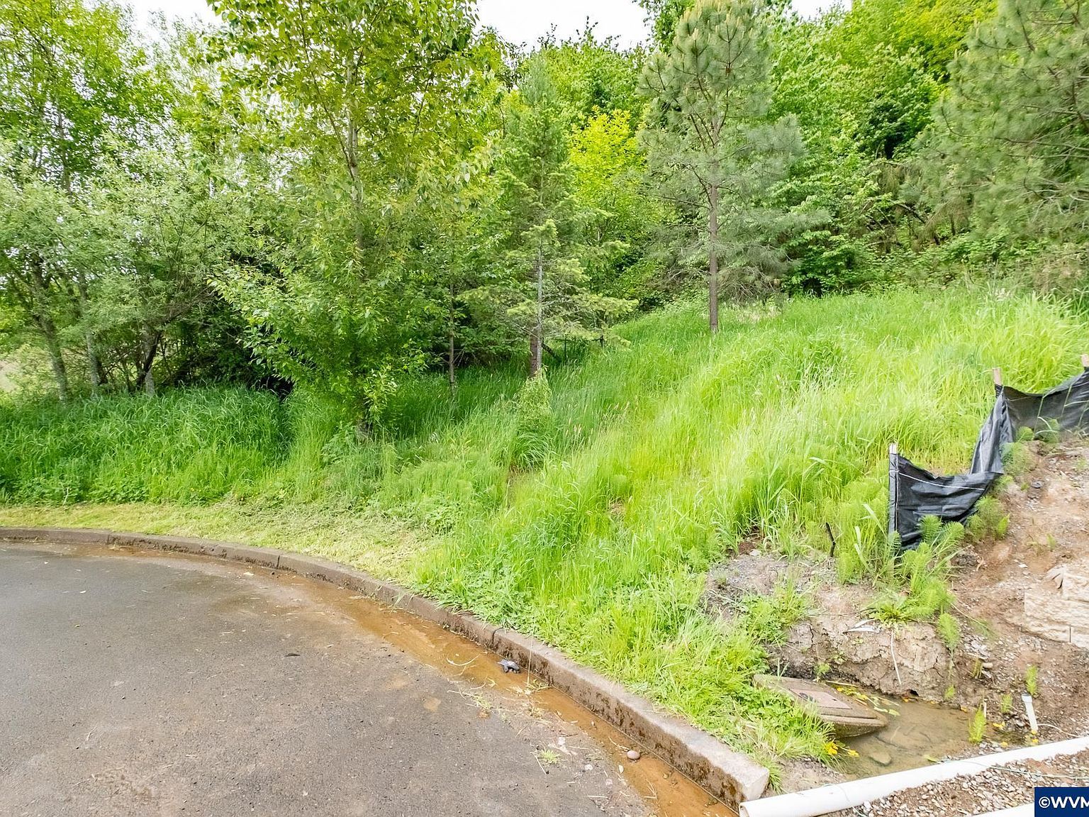 2468 Morrow Ct NW Salem, OR 97304 - Thumbnail 4