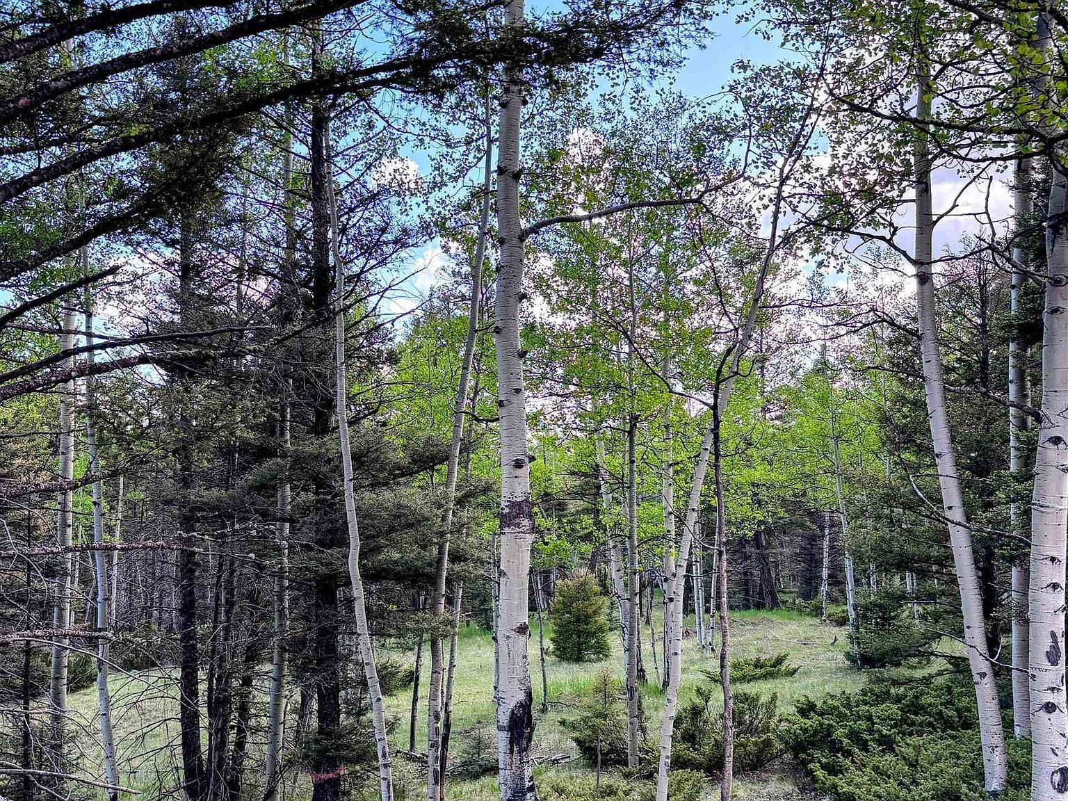 LOT 1042 Starshine Overlook Angel Fire, NM 87710 - Thumbnail 4