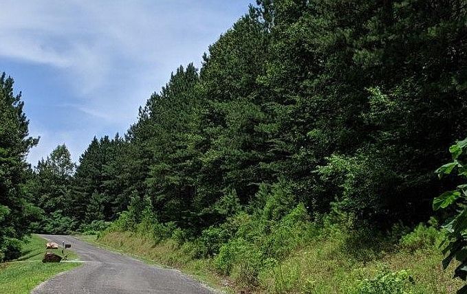 LOT 6 Black Bear Ridge Rd Ellijay, GA 30536 - Thumbnail 4