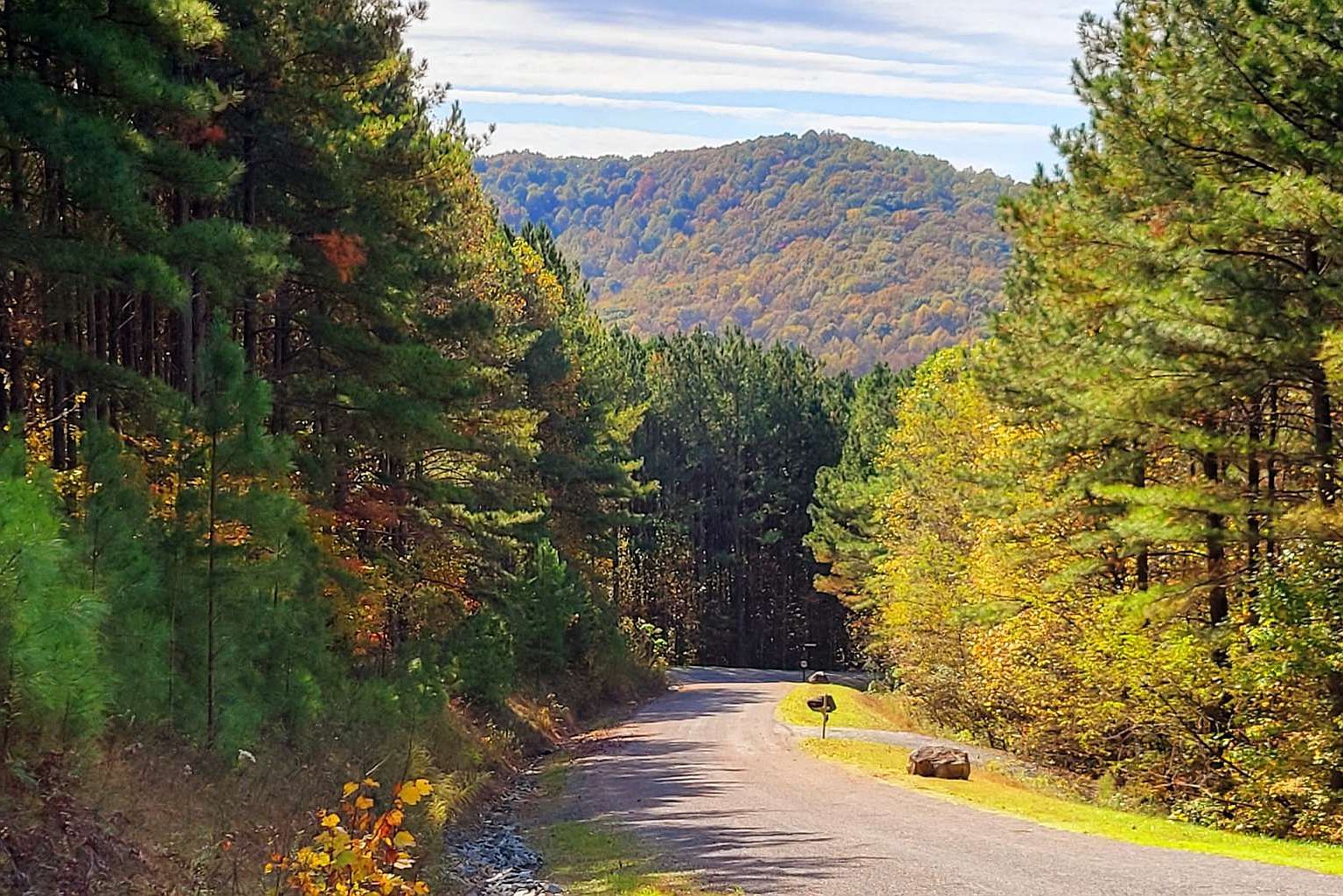 7 Ridge Top Dr Ellijay, GA 30536 - Thumbnail 4