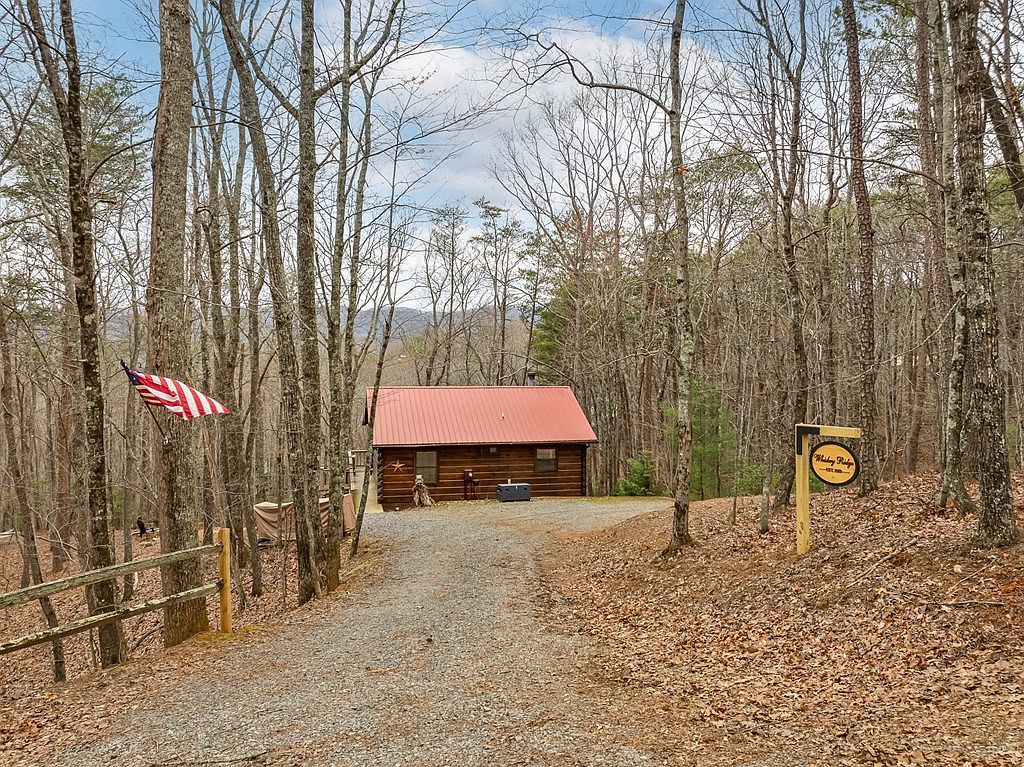 1350 Cherry Lake Dr Blue Ridge, GA 30513 - Thumbnail 4