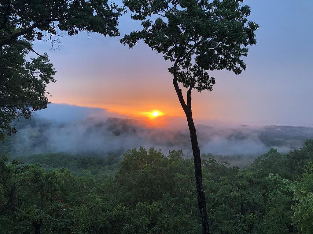 195 Hoot Owl Rdg Morganton, GA 30560 - Thumbnail 4