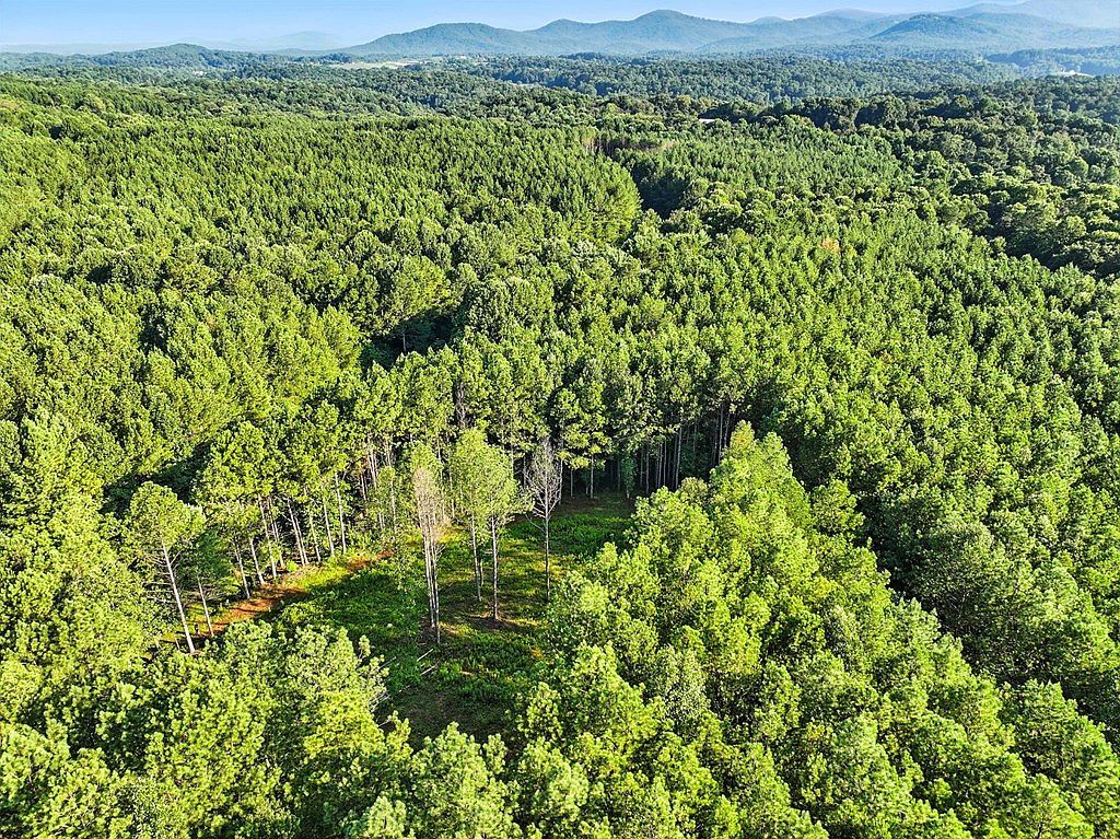 31&32 Foxpaw Leaf Ln Ellijay, GA 30536 - Thumbnail 4