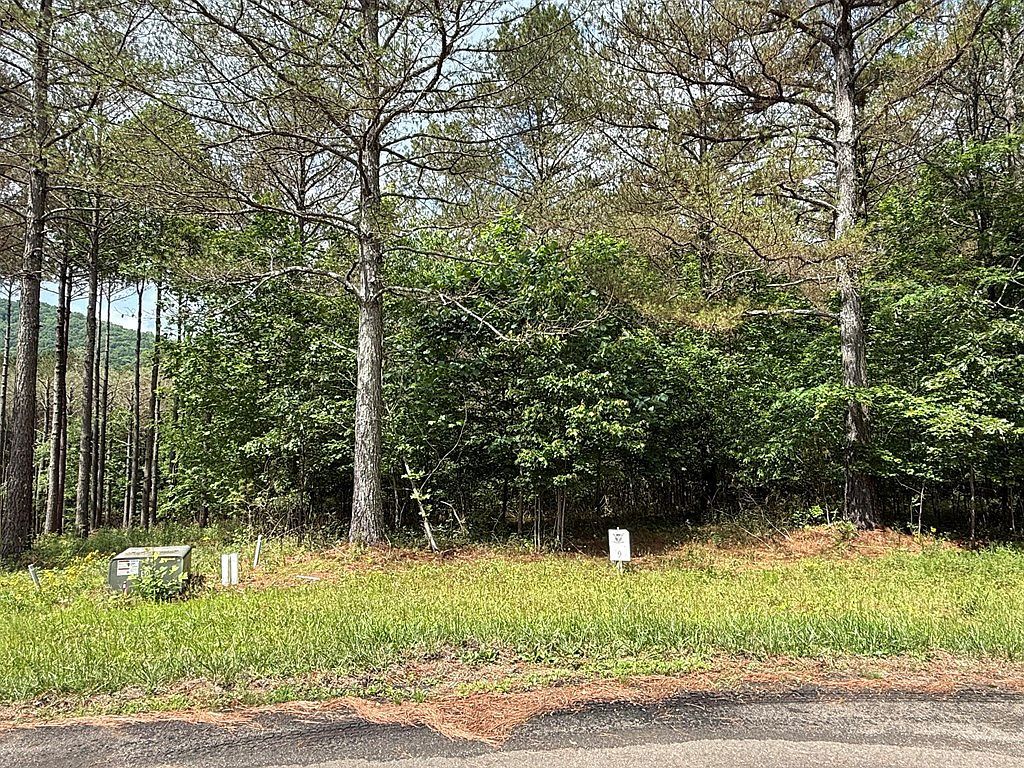 LOT 9 Eastview Trl Ellijay, GA 30536 - Thumbnail 4