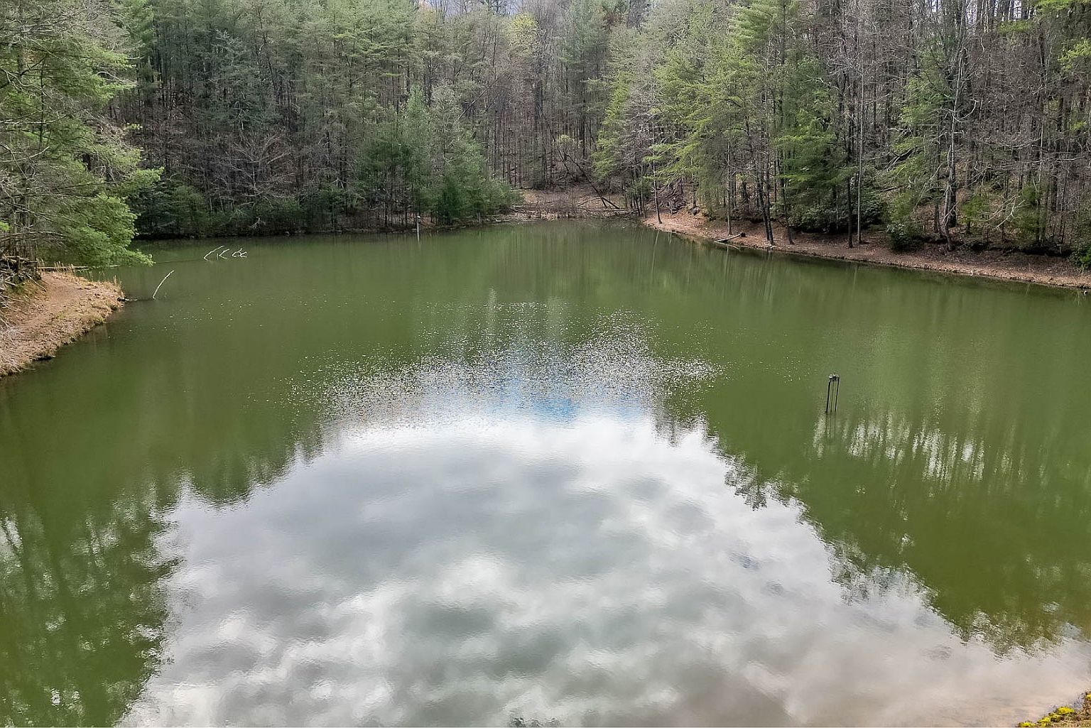 60 Clubhouse Ct Ellijay, GA 30536 - Thumbnail 4