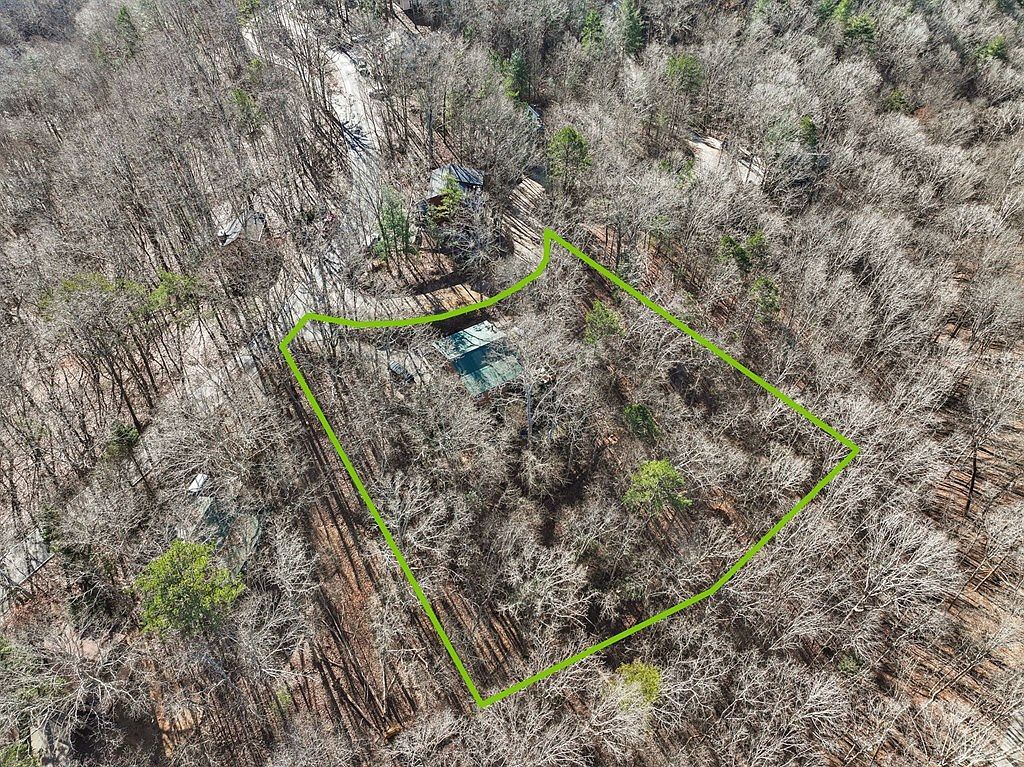 421 Cherokee Ct Ellijay, GA 30540 - Thumbnail 4