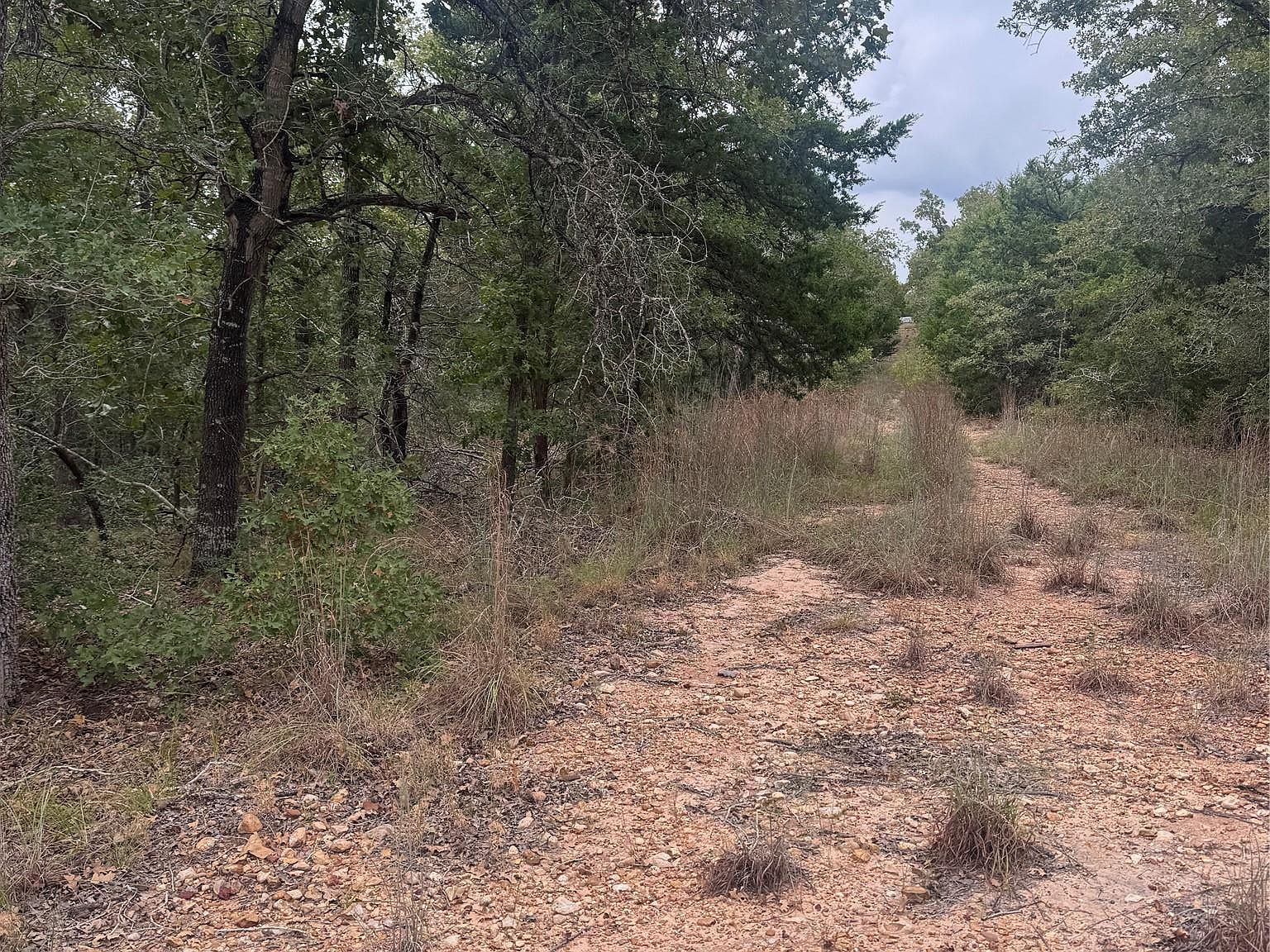 6 Spruce St Paige, TX 78659 - Thumbnail 4