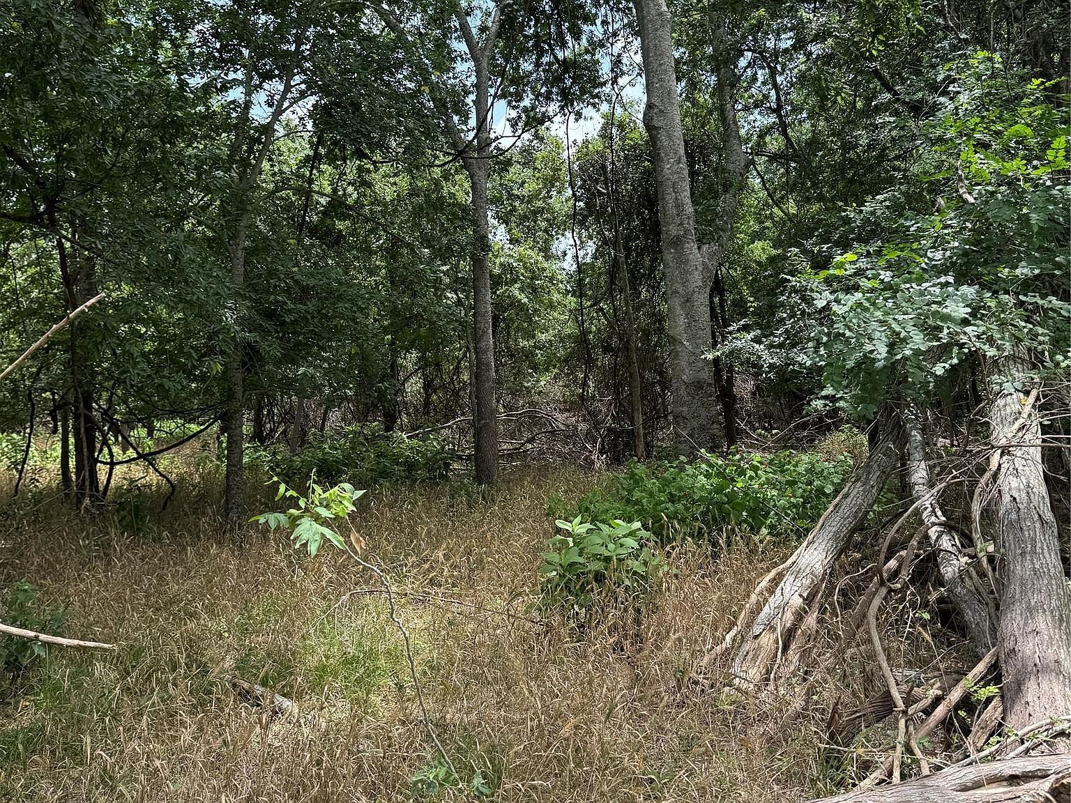 LOT 904 Kahana Ln Bastrop, TX 78602 - Thumbnail 4
