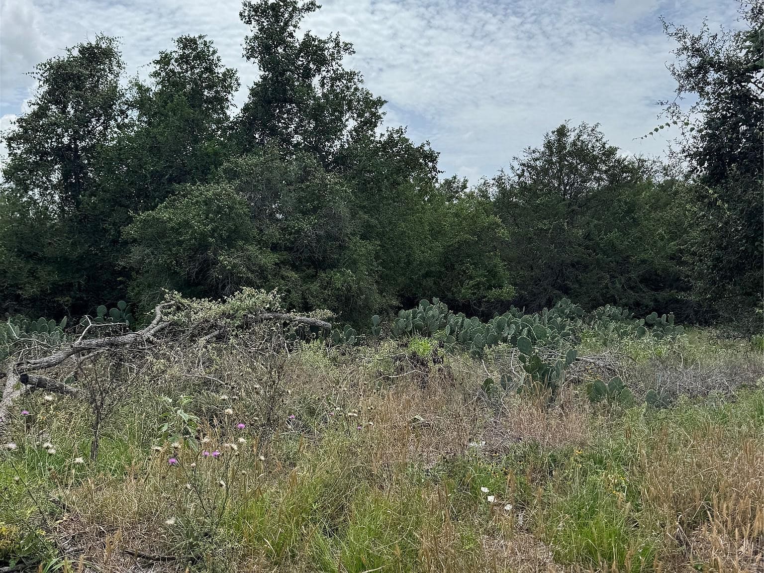 LOT 687 Kawainui Ln Bastrop, TX 78602 - Thumbnail 4