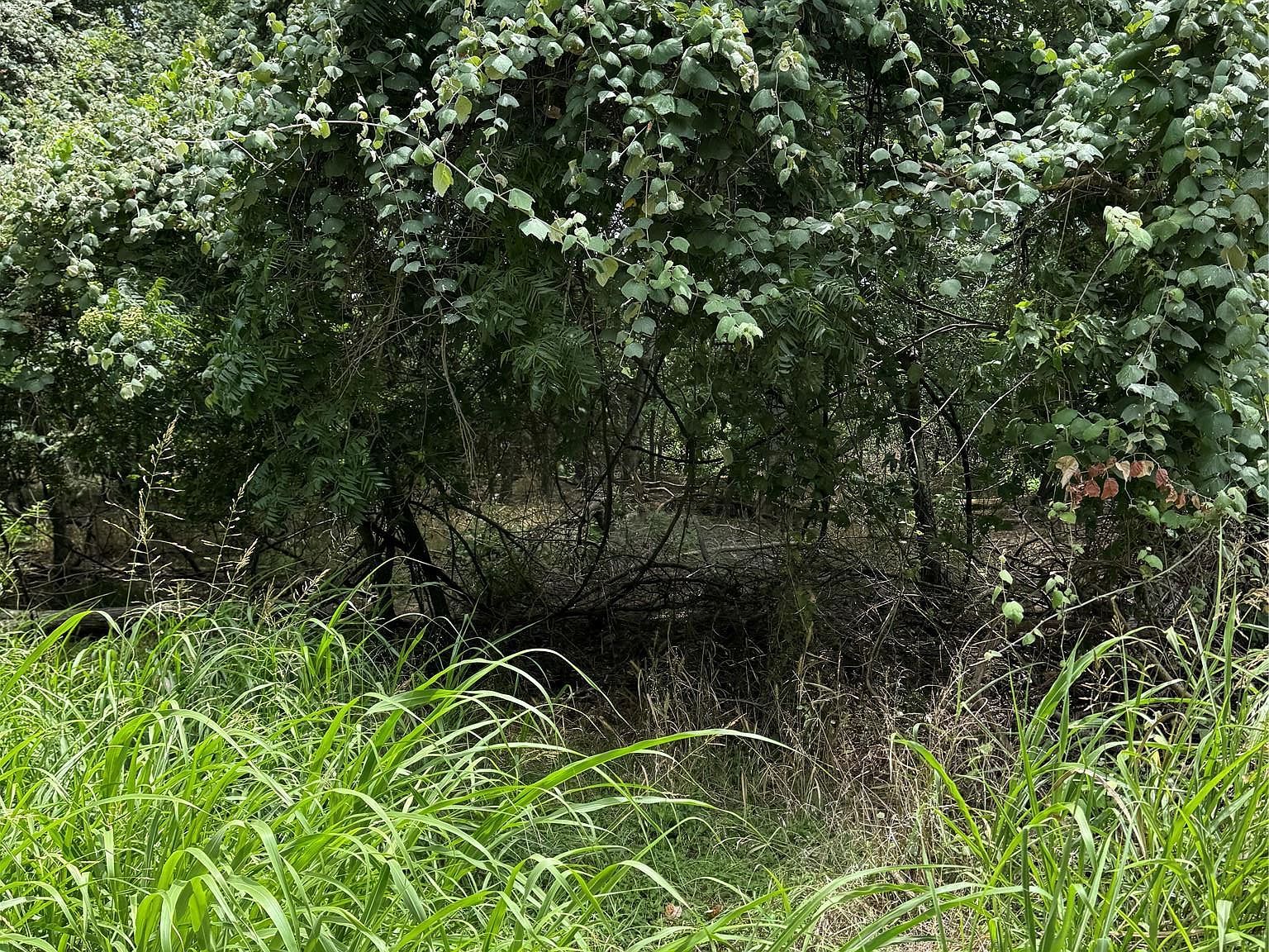 LOT 902 Kahana Ln Bastrop, TX 78602 - Thumbnail 4