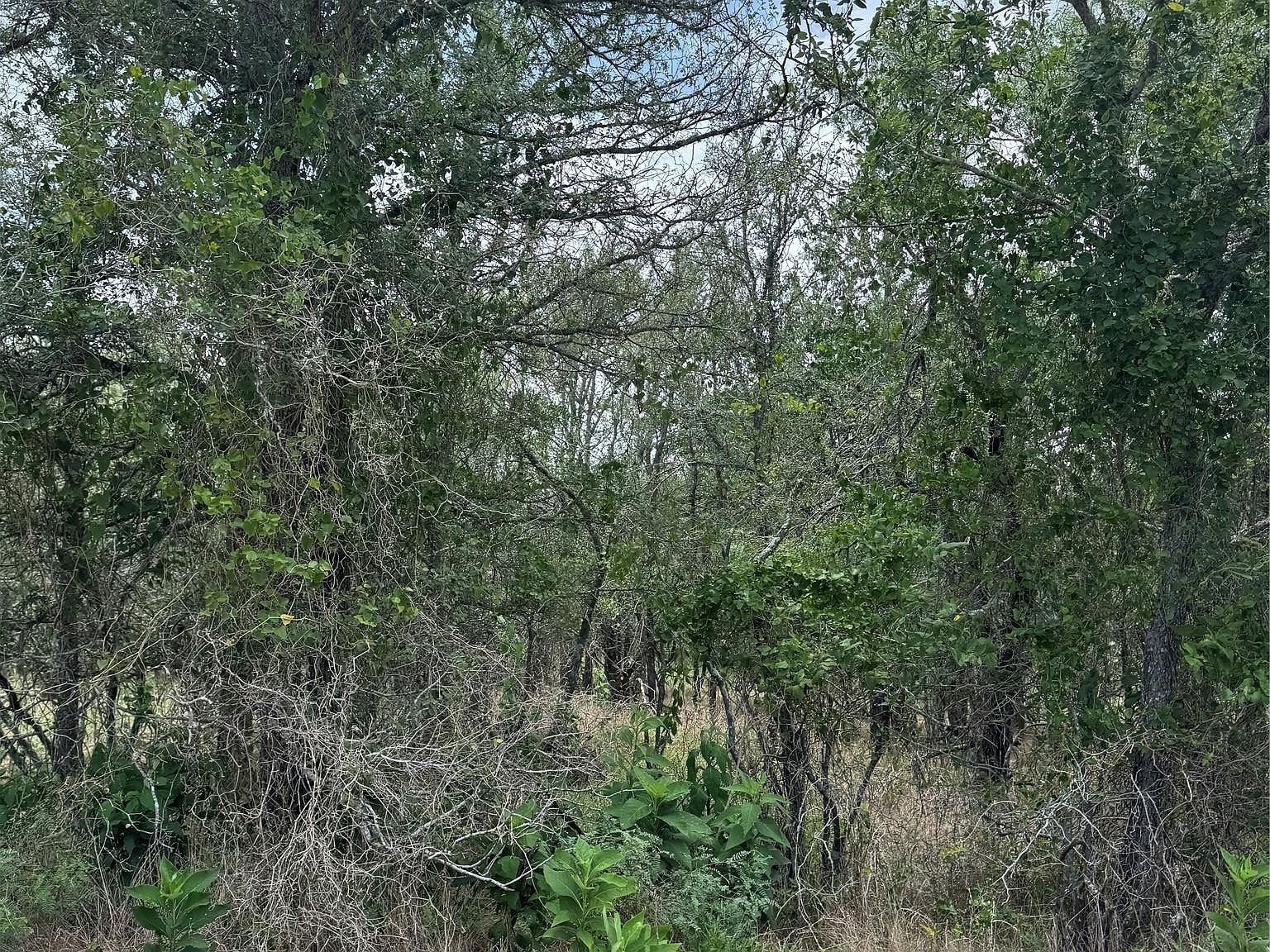 LOT 686 Kawainui Ln Bastrop, TX 78602 - Thumbnail 4