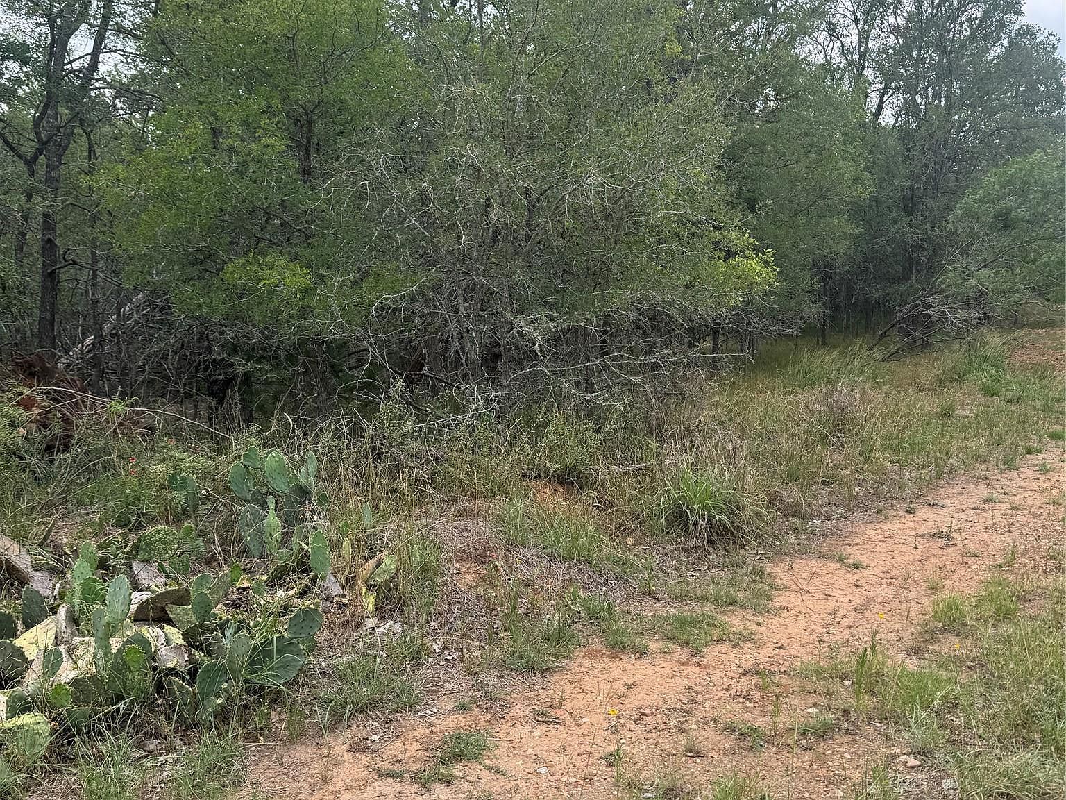 108 Howi Ln Bastrop, TX 78602 - Thumbnail 4