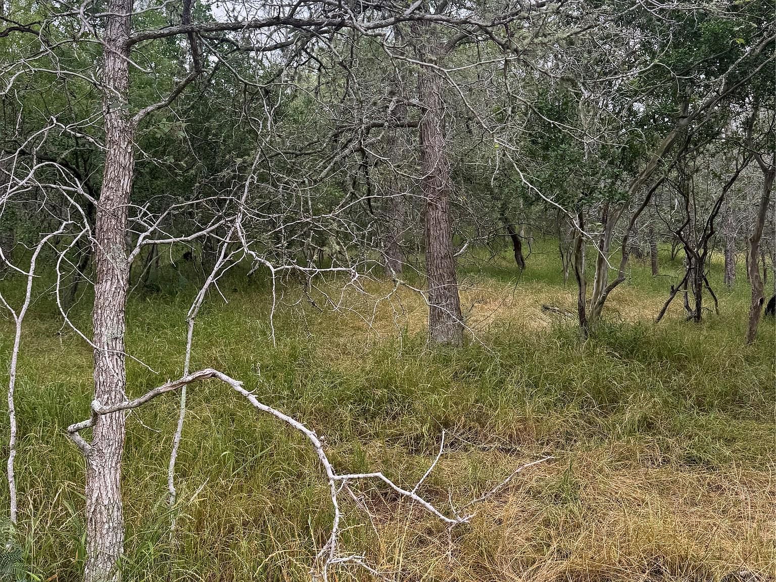 109 Hauula Ct Bastrop, TX 78602 - Thumbnail 4