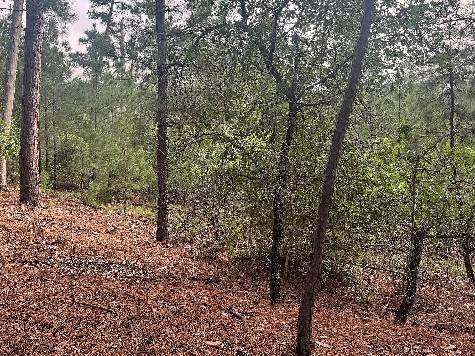 LOT 1492 Haleakala Dr Bastrop, TX 78602 - Thumbnail 4