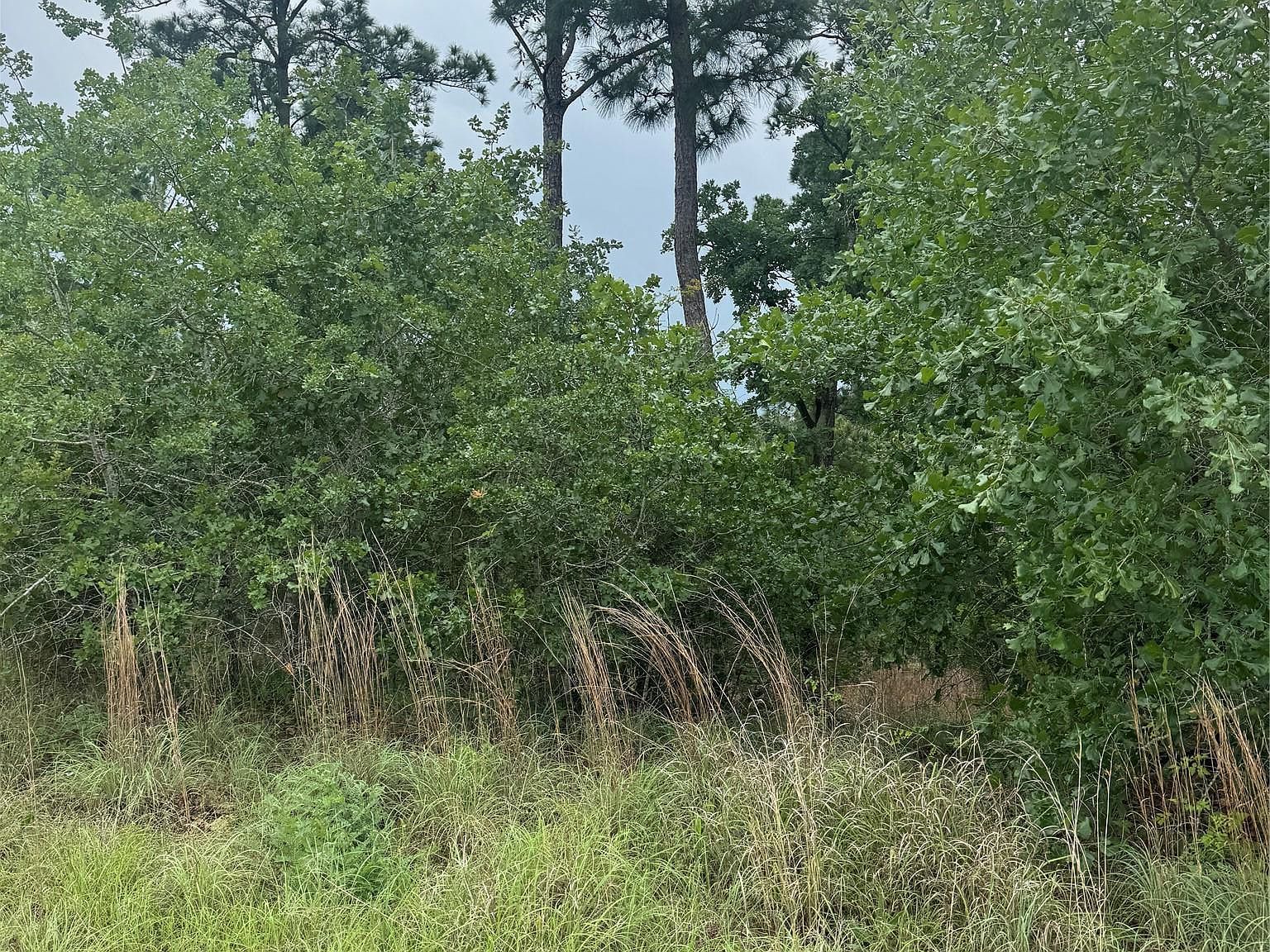 LOT 1612 Kaanapali Ln Bastrop, TX 78602 - Thumbnail 4