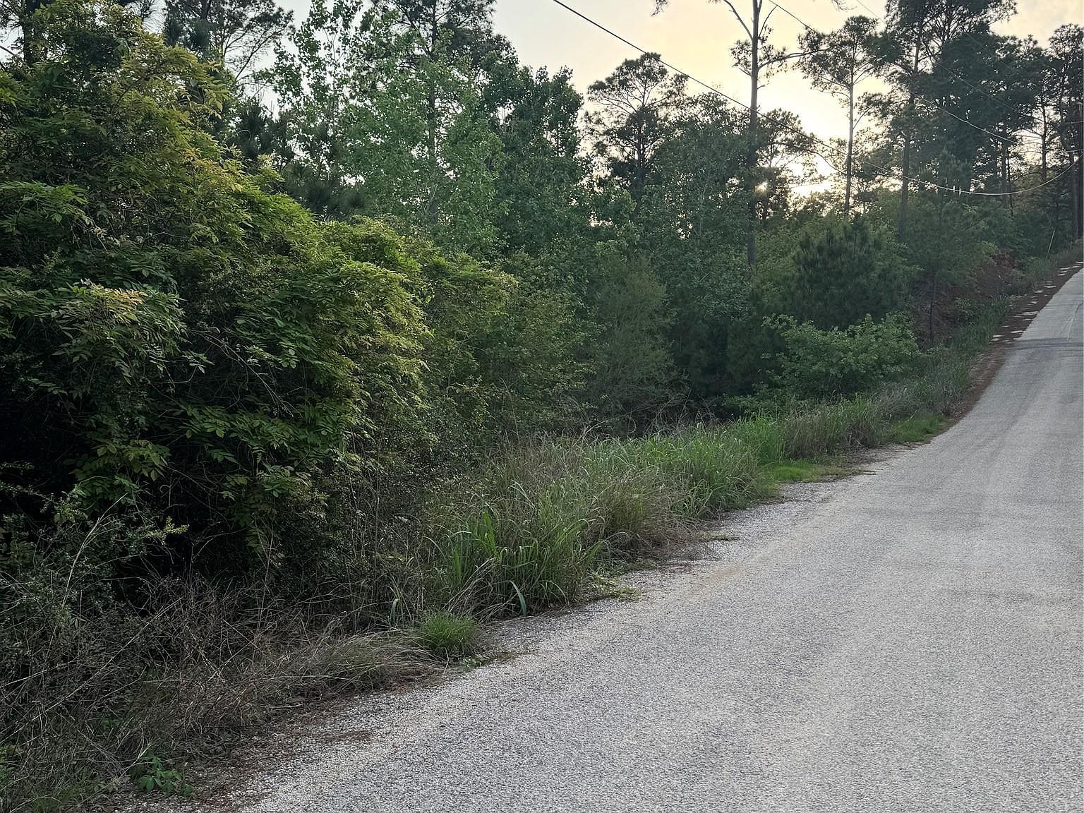 LOT 1386 N Pahihi Dr #1386 Bastrop, TX 78602 - Thumbnail 4