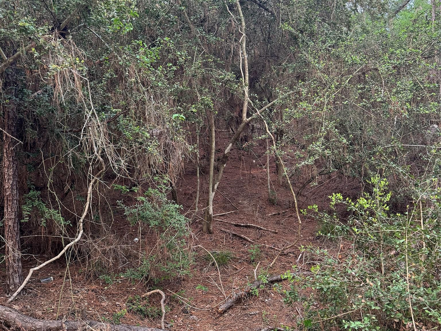 Lots 158 And 159 Hekili Dr Bastrop, TX 78602 - Thumbnail 4