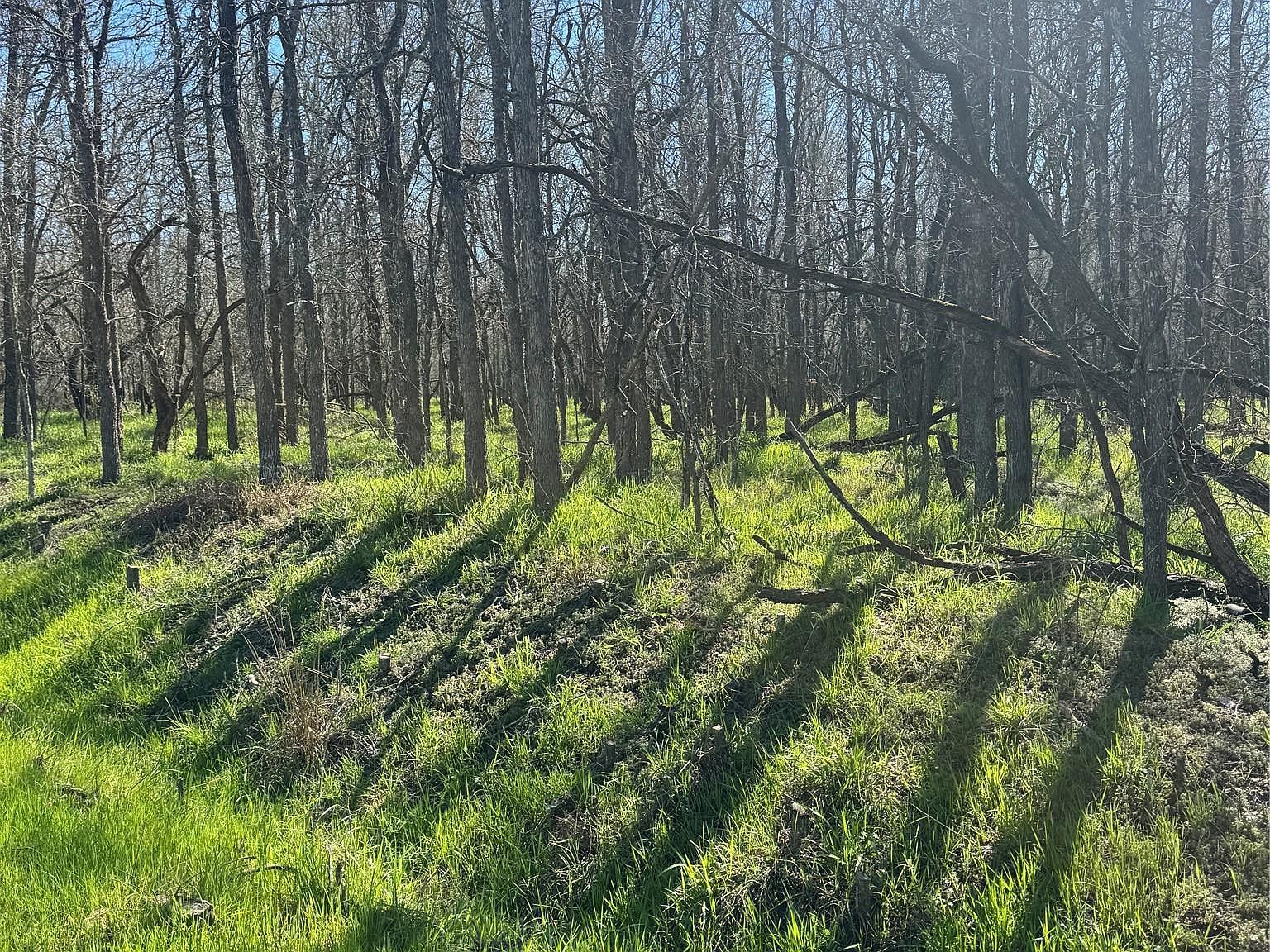 289 Iva Ln Bastrop, TX 78602 - Thumbnail 4