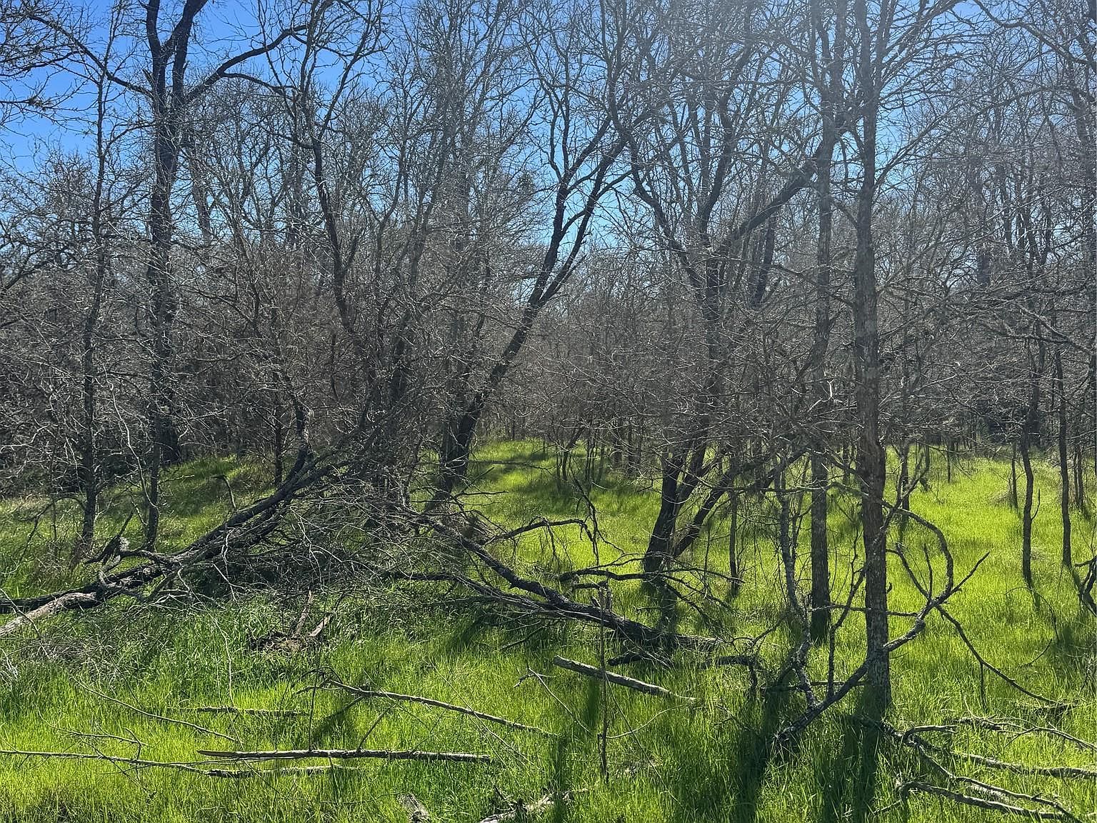 291 Kolekole Ln Bastrop, TX 78602 - Thumbnail 4