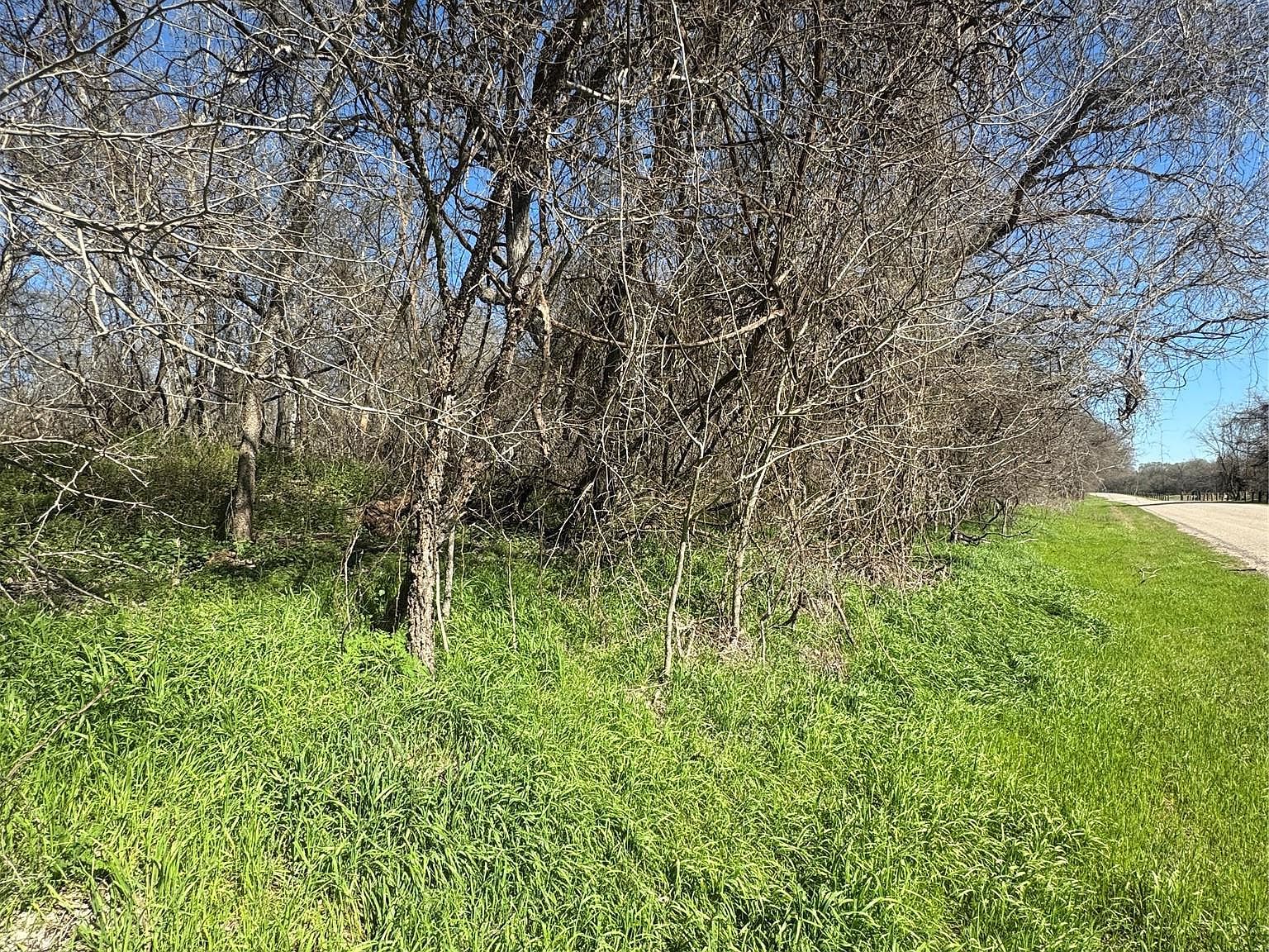 961 E Riverside Dr Bastrop, TX 78602 - Thumbnail 4