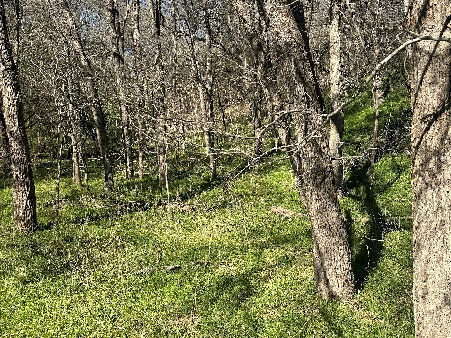 Lots 638 639 640 Kaukonahua Ln Bastrop, TX 78602 - Thumbnail 4