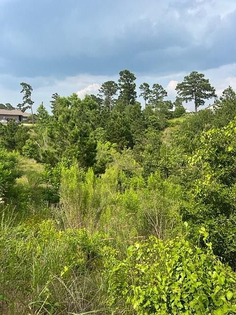 LOT 798 Tahitian Dr Bastrop, TX 78602 - Thumbnail 4