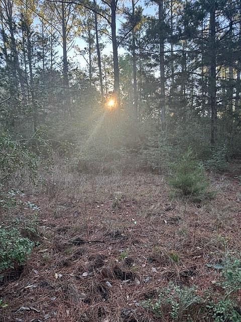 107 Lake Point Way Bastrop, TX 78602 - Thumbnail 4