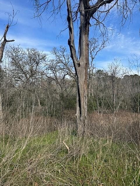 306 Travis Rd Paige, TX 78659 - Thumbnail 4