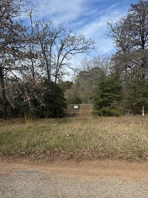 LOT 95 Travis Rd Paige, TX 78659 - Thumbnail 4
