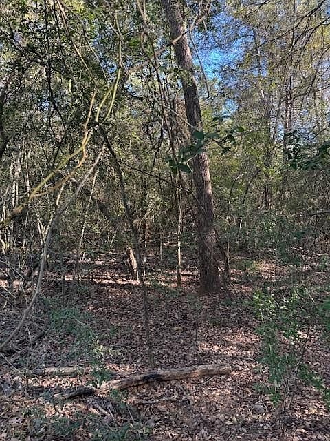 125 Helemano Dr Bastrop, TX 78602 - Thumbnail 4