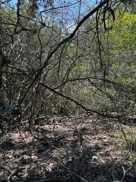 157 Lamaloa Ln Bastrop, TX 78602 - Thumbnail 4