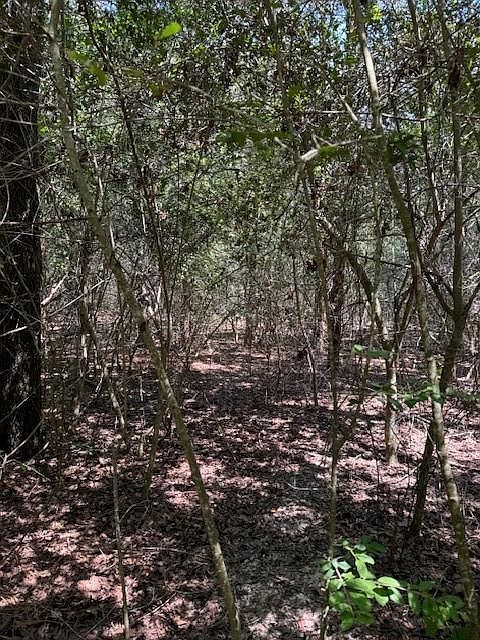 129 Helemano Dr Bastrop, TX 78602 - Thumbnail 4