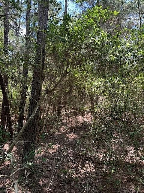 250 Hekili Dr Bastrop, TX 78602 - Thumbnail 4