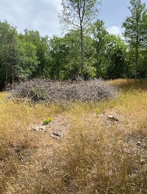 108 W Kikipua Ln Bastrop, TX 78602 - Thumbnail 4