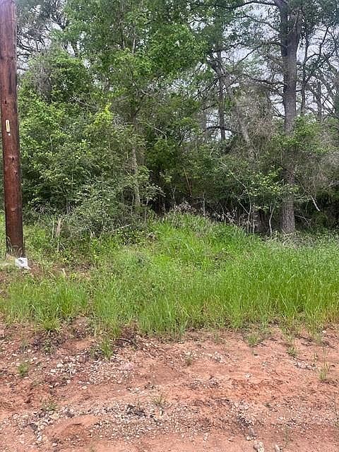 LOT 628 Hilea Ct Bastrop, TX 78602 - Thumbnail 4